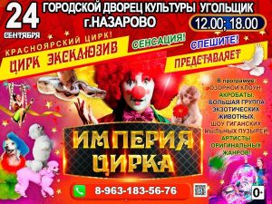 СМЕХ, ВОСТОРГ И ПРИКЛЮЧЕНИЯ — ВСЁ В ОДНОМ МЕСТЕ!